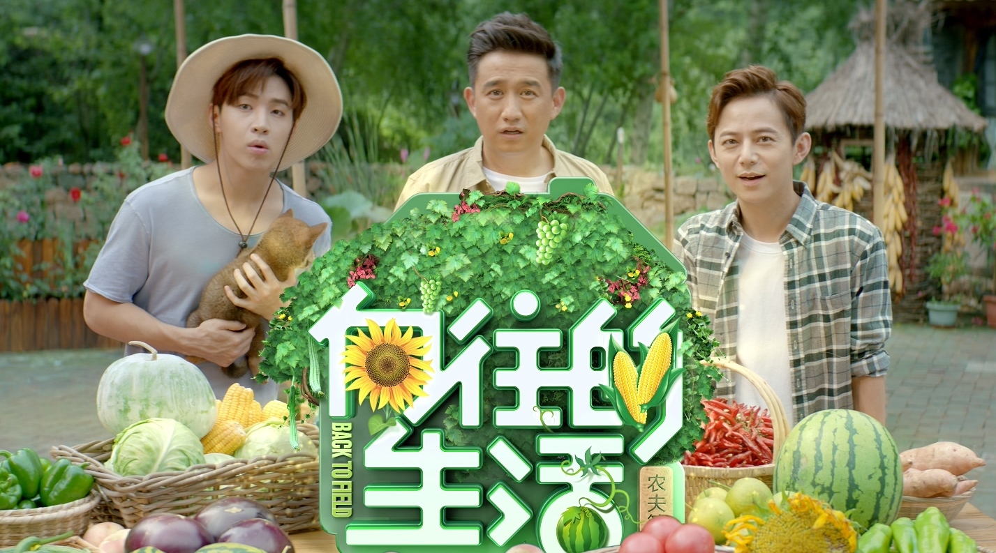 向往的生活4全集在线观看(向往的生活4全集免费观看完整视频)