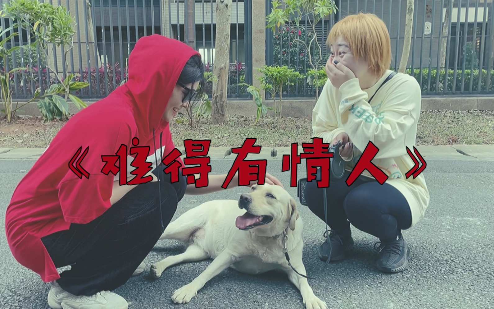 错了性别不错爱下载(错了性别不错爱是哪个网站的)