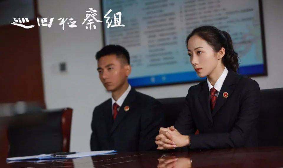 巡回检察组全集45(巡回检察组全集45分集剧情介绍)