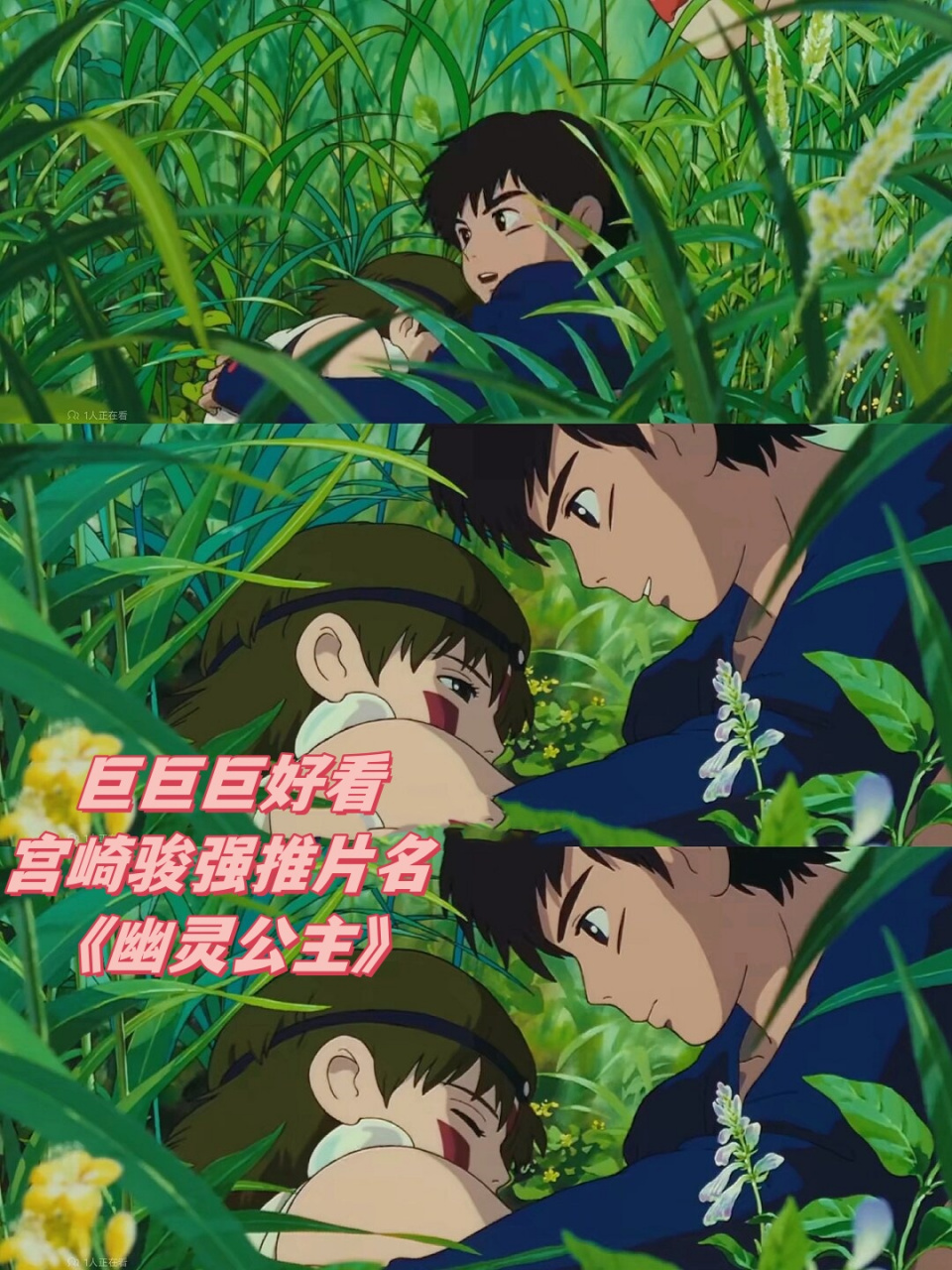 幽灵公主电影(幽灵公主电影日语版免费完整)