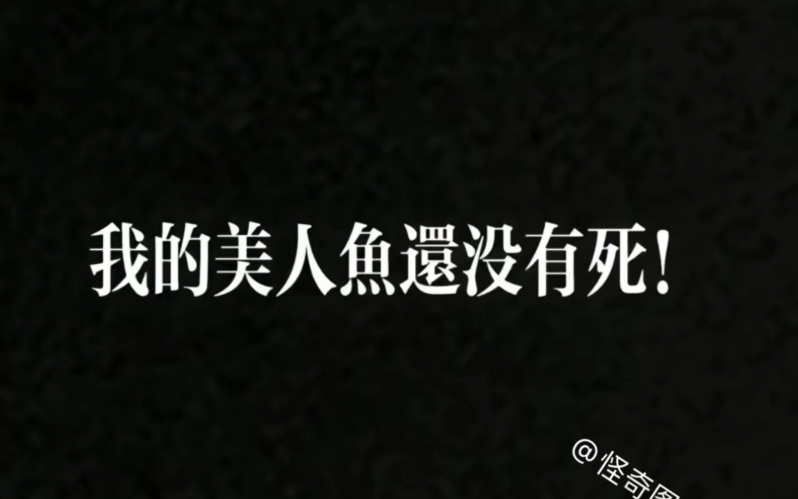 下水道的美人鱼中文版(下水道的美人鱼中文完整版)