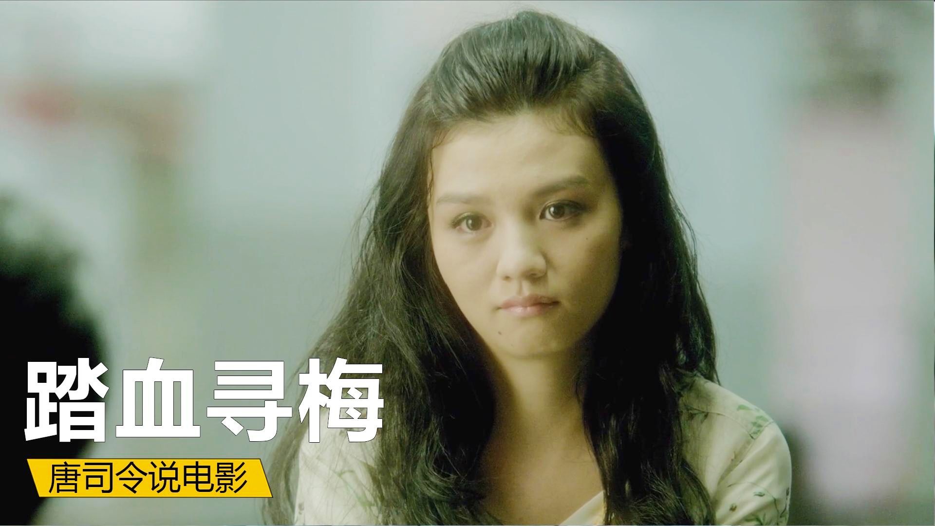 踏雪寻梅电影(踏雪寻梅电影国语版剧情简介)