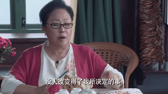 极品老妈电视剧全集(极品老妈演员表第一季)