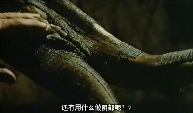 深喉在线观看(深喉的意思是??)