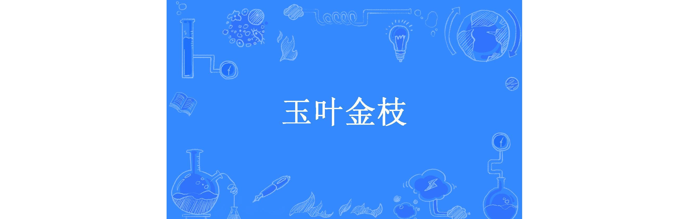 金枝玉叶迅雷下载(金枝玉叶 mkv 下载)