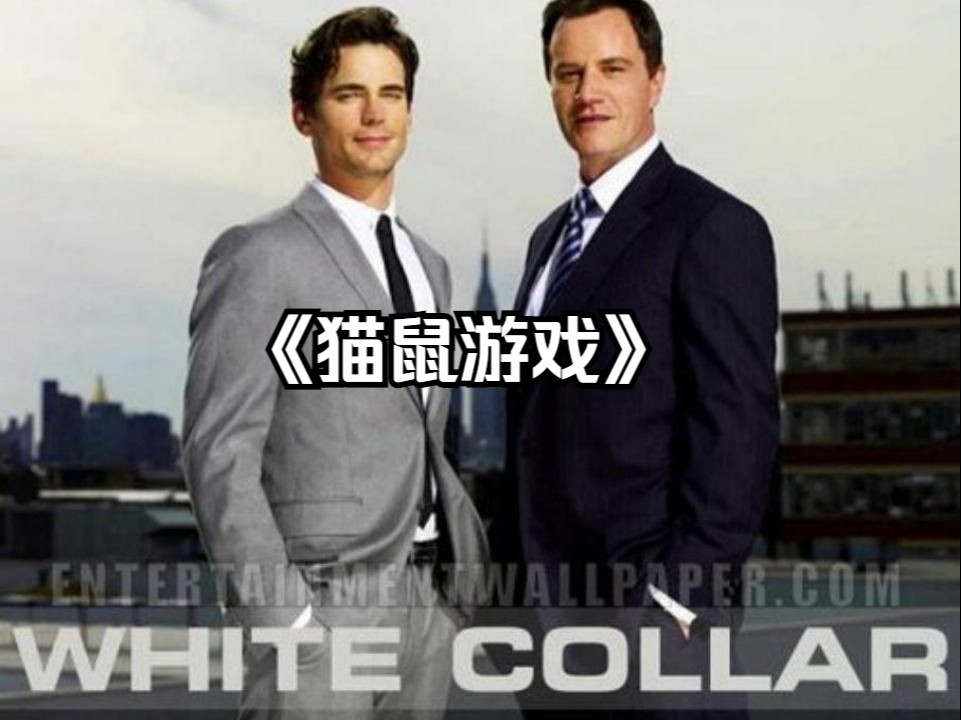 猫鼠游戏在线观看免费完整版(猫鼠游戏在线观看免费完整版国语)