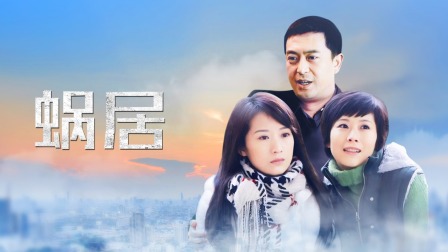 电视剧蜗居全集(电视剧蜗居第33集播放)