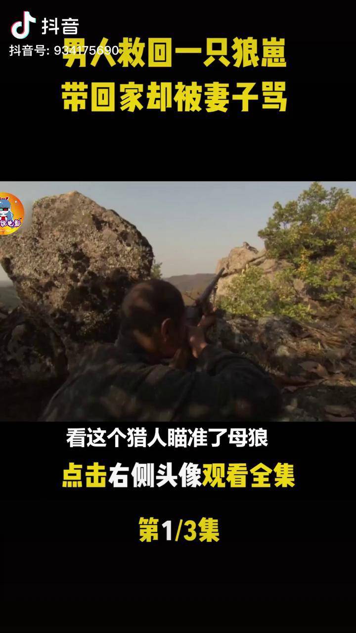 山林喋血(山林喋血电视剧免费全集在线观看)