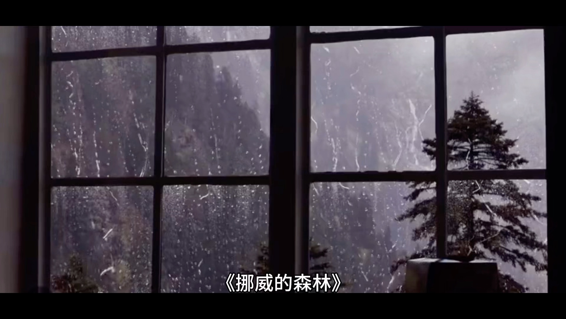 挪威的森林电影(挪威的森林电影在线观看免费高清)