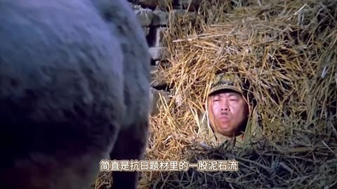 举起手来电影(举起手来电影是哪一年上映的)