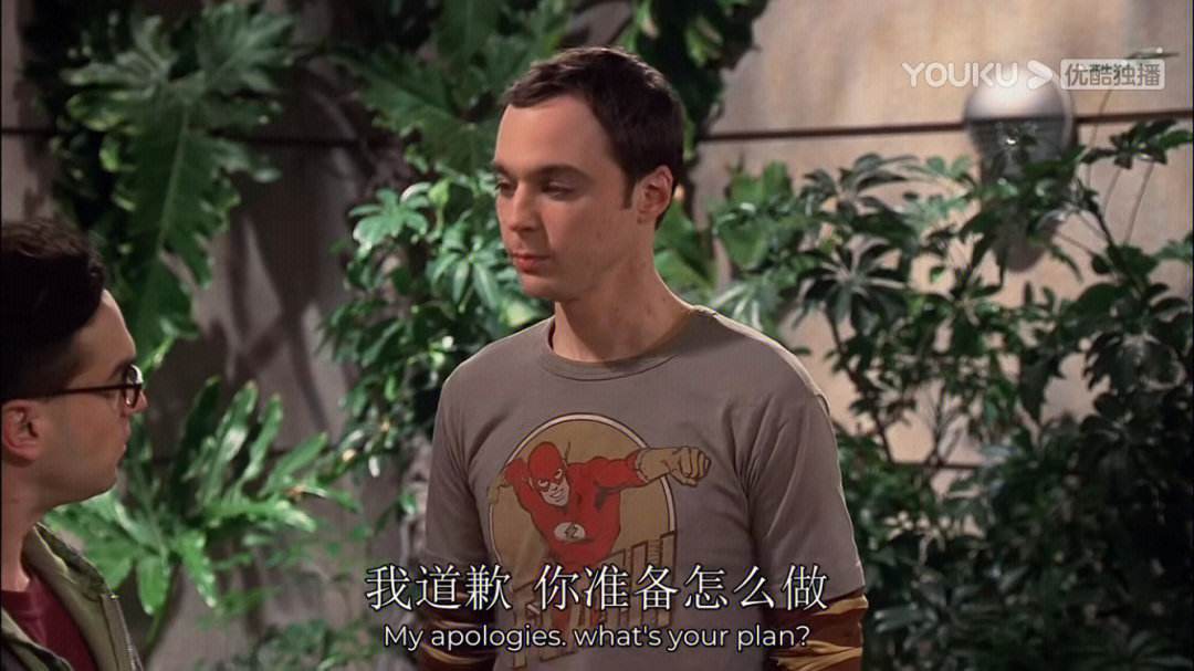 生活大爆炸第一季高清(生活大爆炸第一季高清网盘)