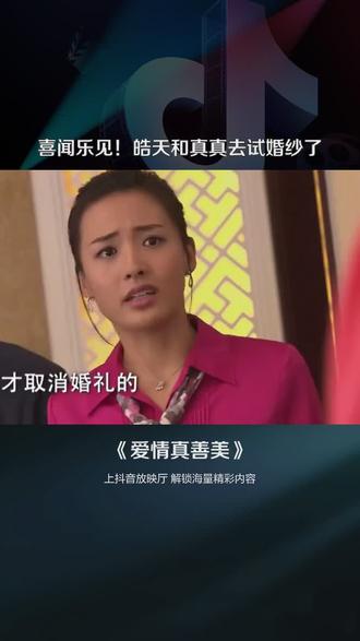 爱情真善美电视剧全集在线观看(爱情真善美 电视剧免费观看80集)