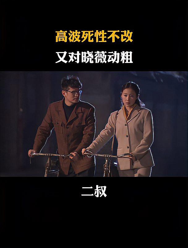 二叔电视剧(二叔电视剧全部免费版)