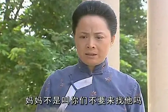 电视剧养母生母(电视剧养母生母那个什么是谁演的)