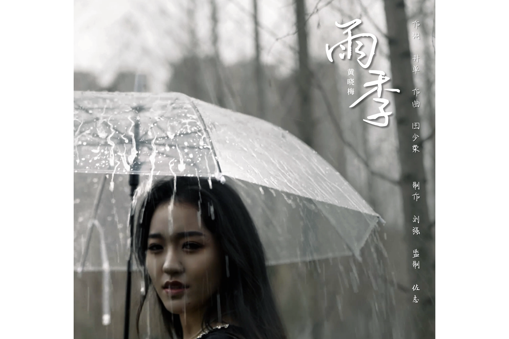 阳光雨季电视剧(阳光雨季电视剧多少票房)