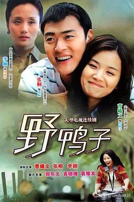 电视剧野鸭子全集在线观看(电视剧野鸭子第一部全集免费观看)