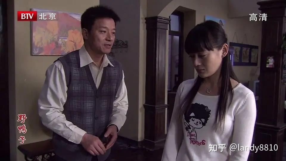 电视剧野鸭子全集在线观看(电视剧野鸭子第一部全集免费观看)
