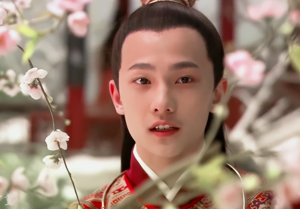杨洋三嫁电视剧(杨洋三嫁里面的演员表)