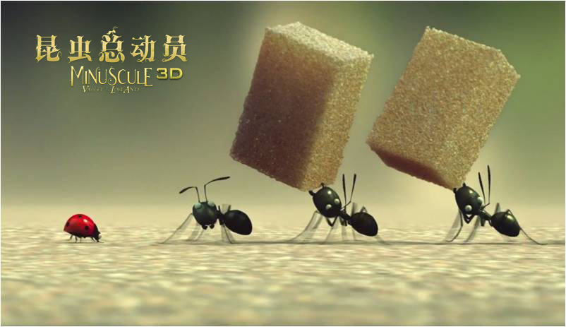 昆虫总动员电影(昆虫总动员电影免费国语版全集看)