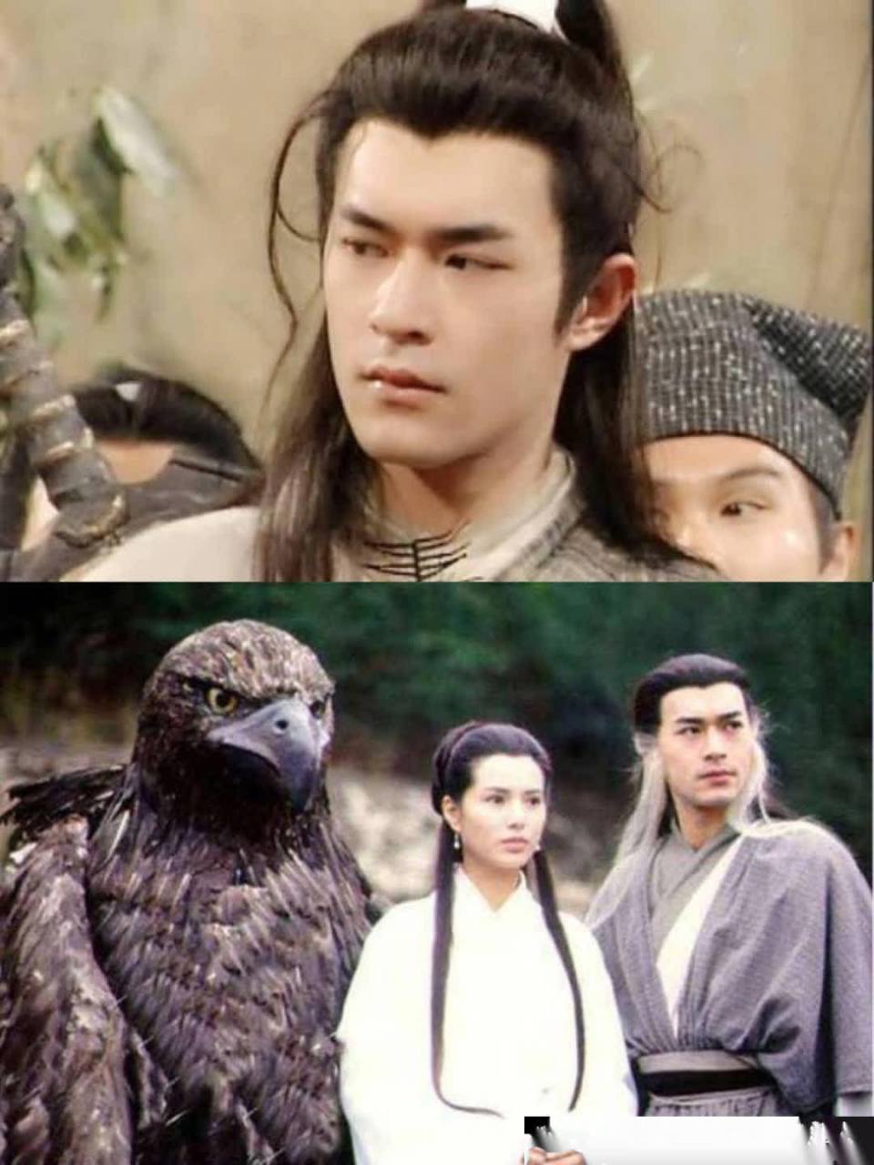 电影神雕侠侣(电影神雕侠侣问世间免费观看)