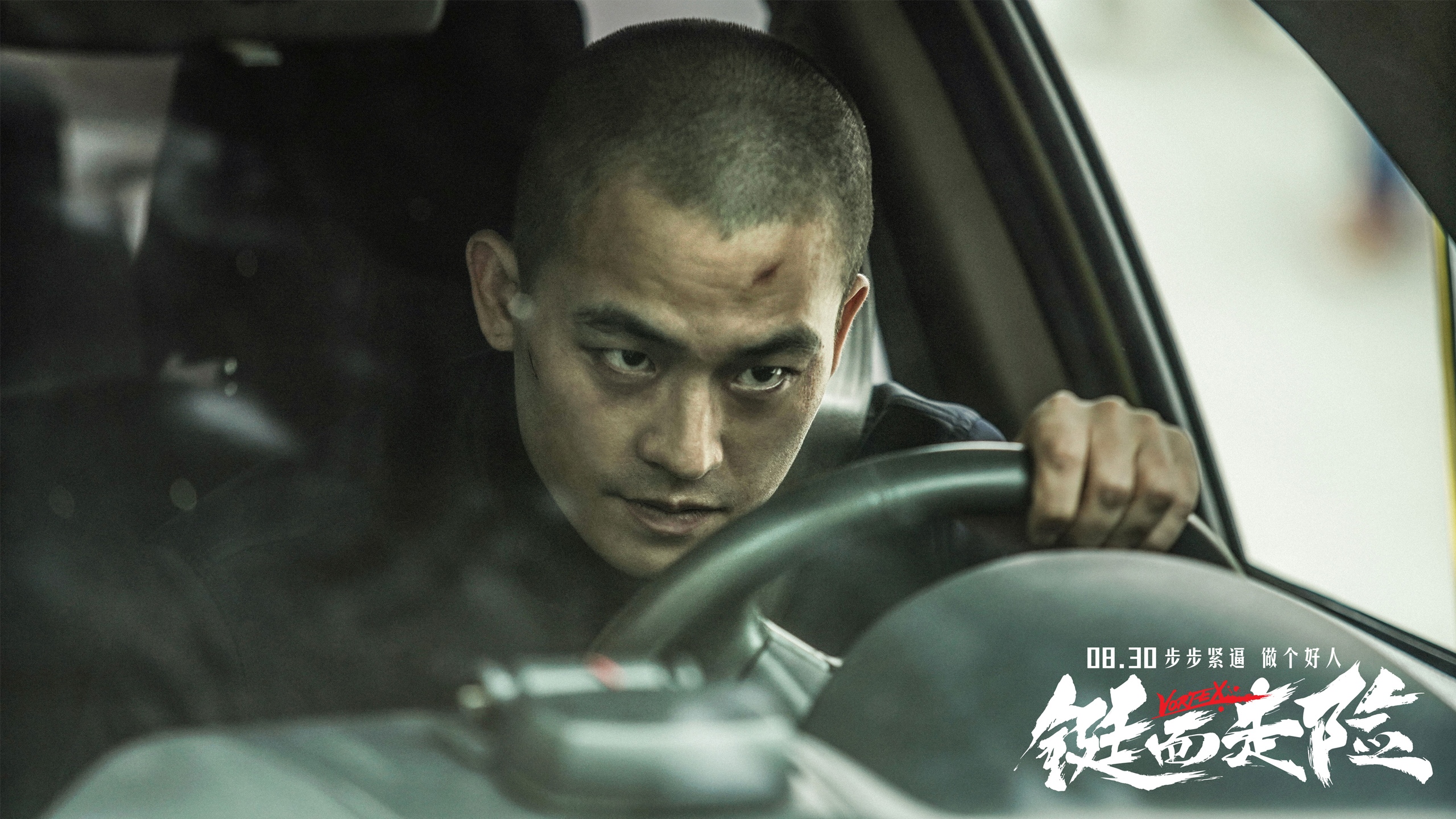 铤而走险电影(铤而走险电影介绍)
