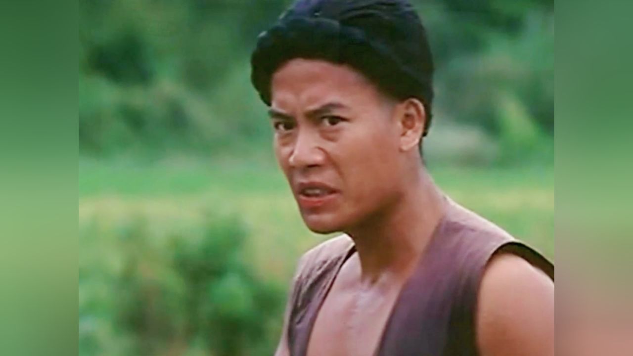 电视剧拳王(电视剧拳王2012免费观看完整版)