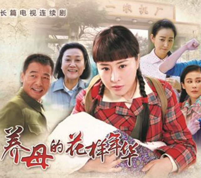 电视剧养母(电视剧养母的花样年华第55集)