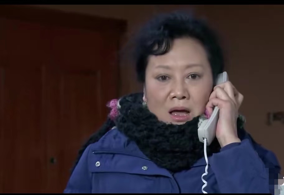 岳母的幸福生活演员表(岳母娘的幸福生活电视剧一共多少集)