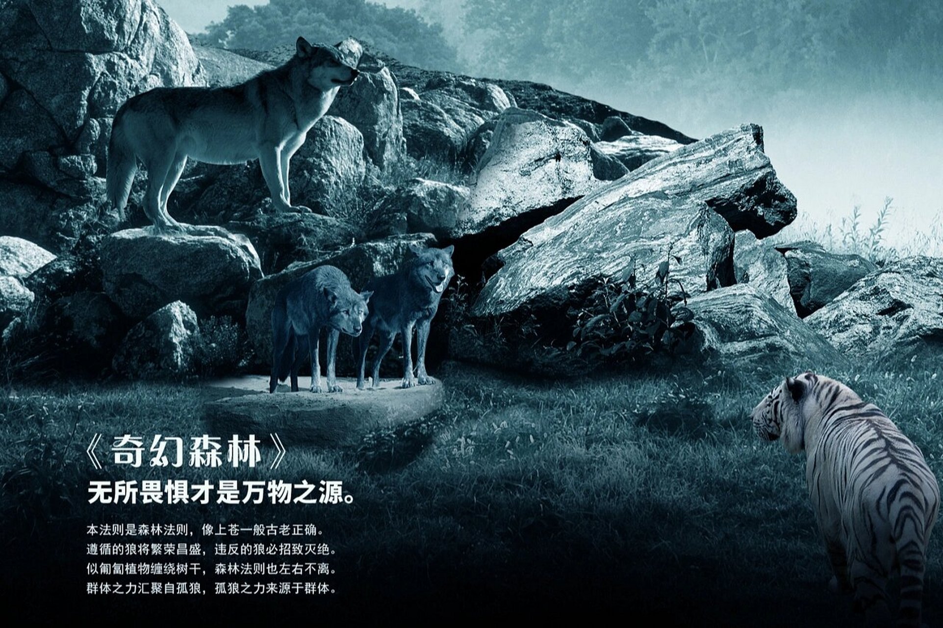 奇幻森林电影(奇幻森林电影免费观看完整版)