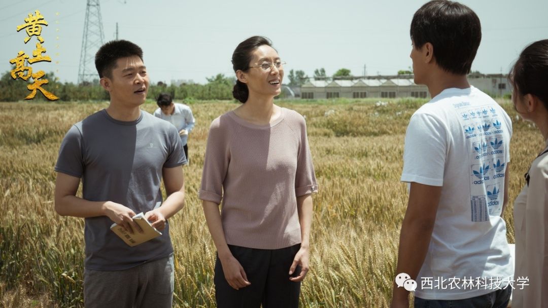 黄土高天电视剧(黄土高天电视剧全集在线观看)