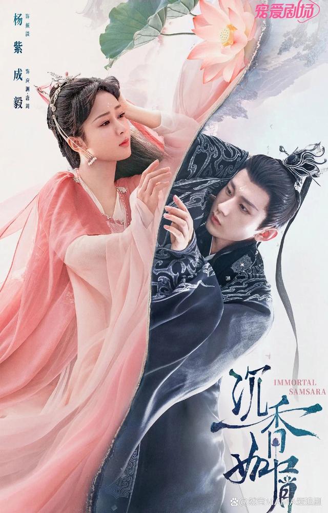 手机电视剧(手机电视剧免费观看完整版)