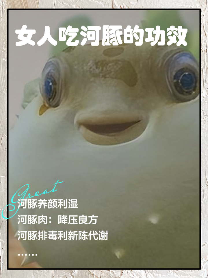 河豚完整版(河豚高清完整版)