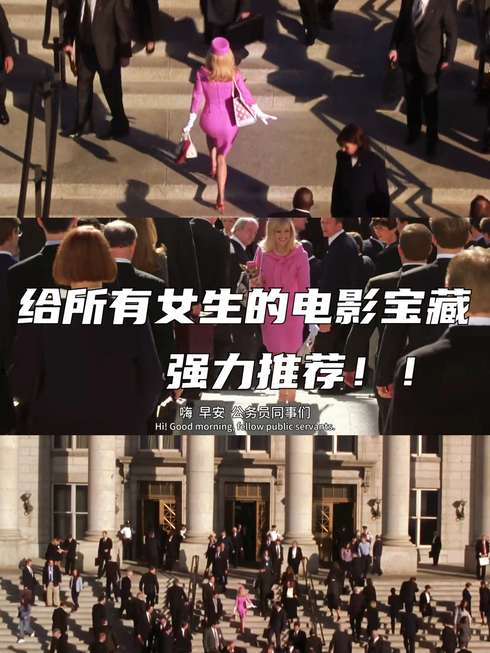律政俏佳人电影(律政俏佳人电影简介英文版)