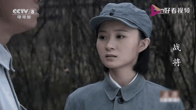 战将电视剧全集(战将电视剧30集)