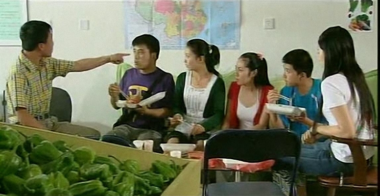 城里城外东北人电视剧(城里城外东北人电视剧第一部)