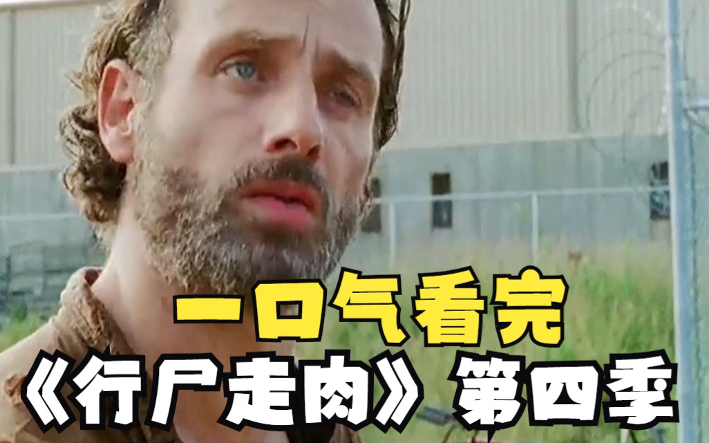 行尸走肉第季四季全(行尸走肉第四季 电视剧)