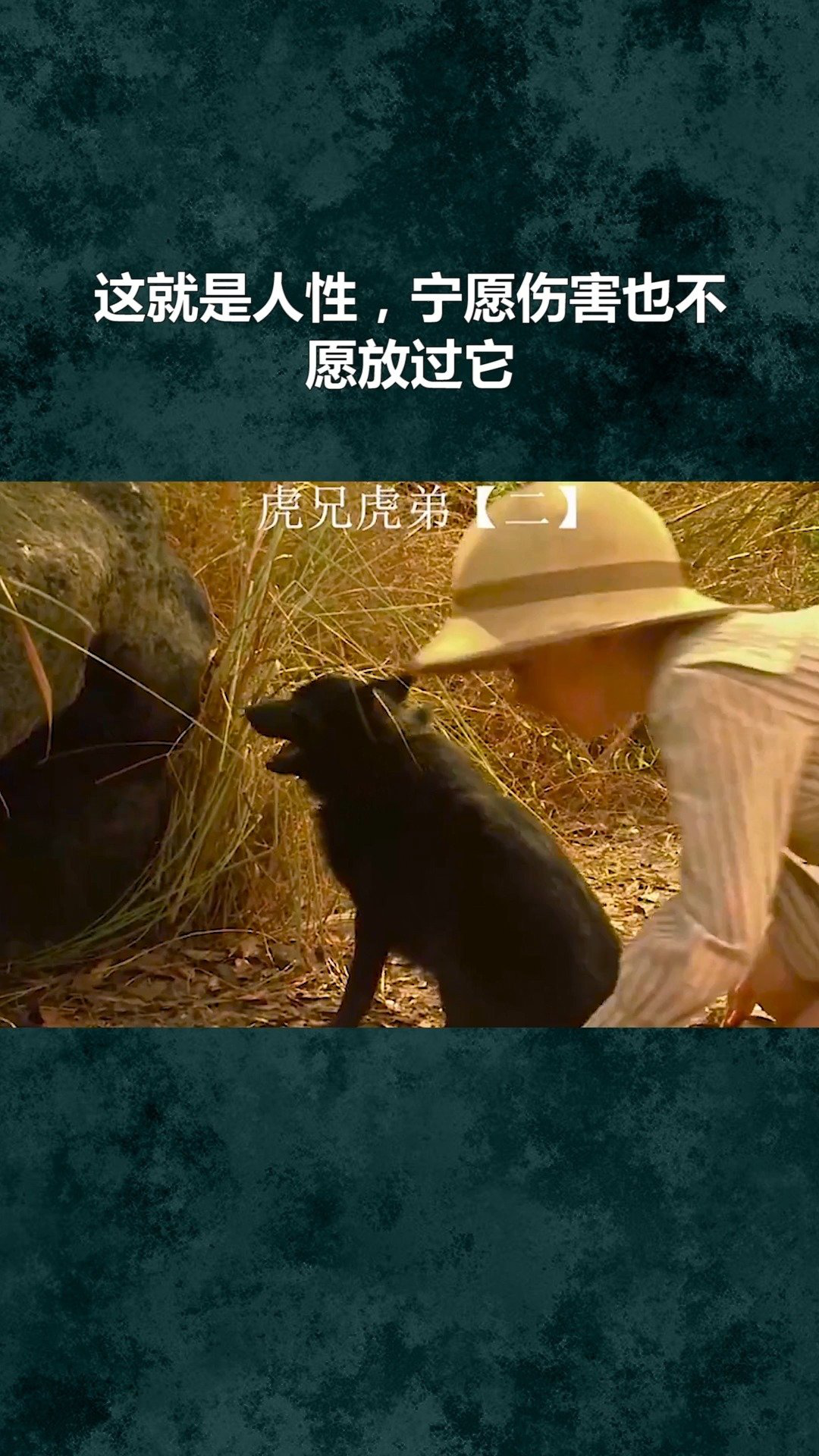 虎兄虎弟国语(虎兄虎弟 电影中文版)