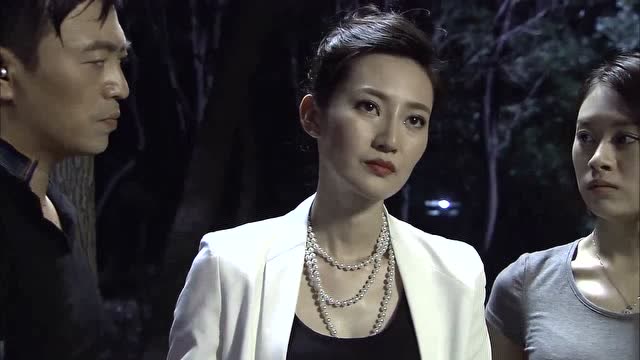 中国刑警803电视剧(中国刑警803电视剧全集完整版)
