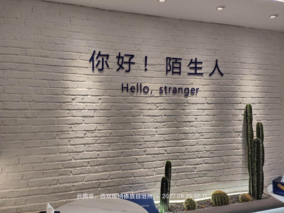 你好陌生人迅雷下载(你好陌生人电影在线完整版2021)