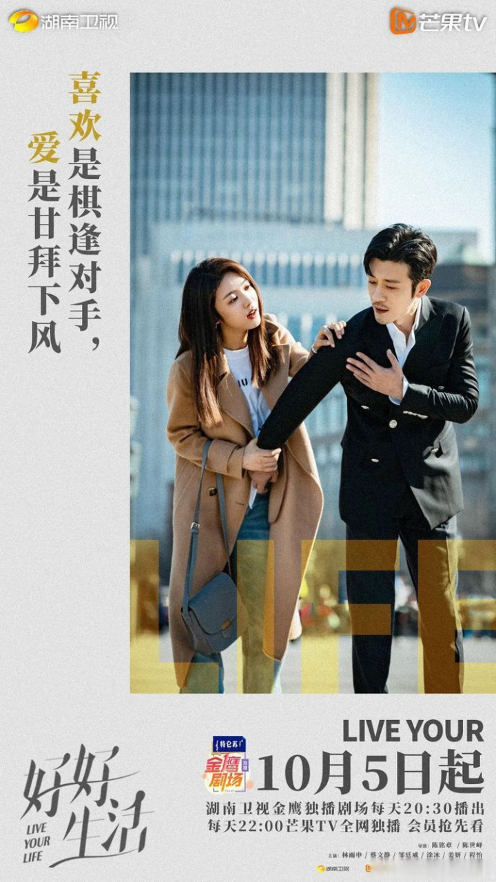 棋逢对手电视剧(棋逢对手电视剧剧情介绍)