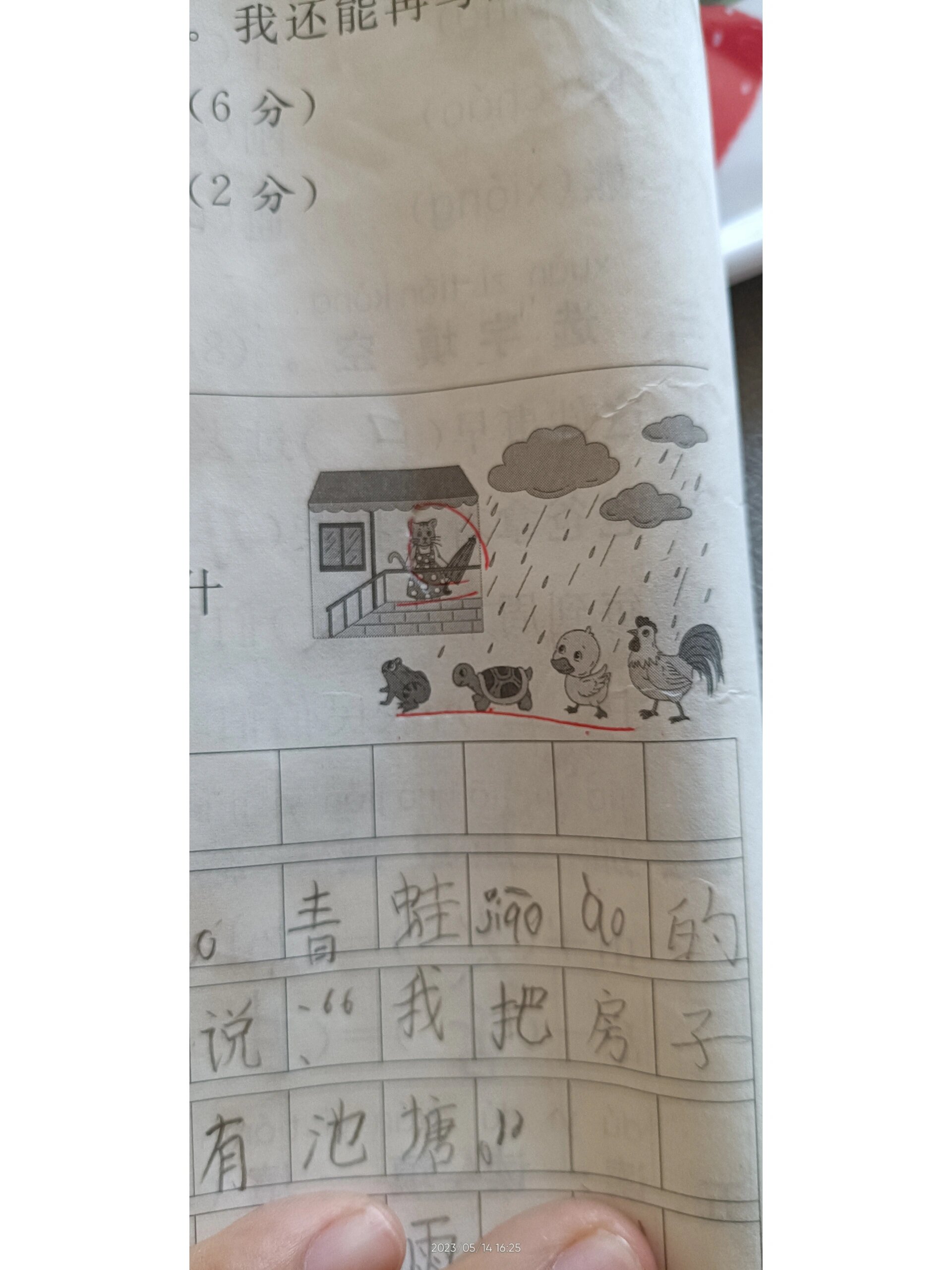 雨后小故事在线观看(雨后小故事在线观看表情包)