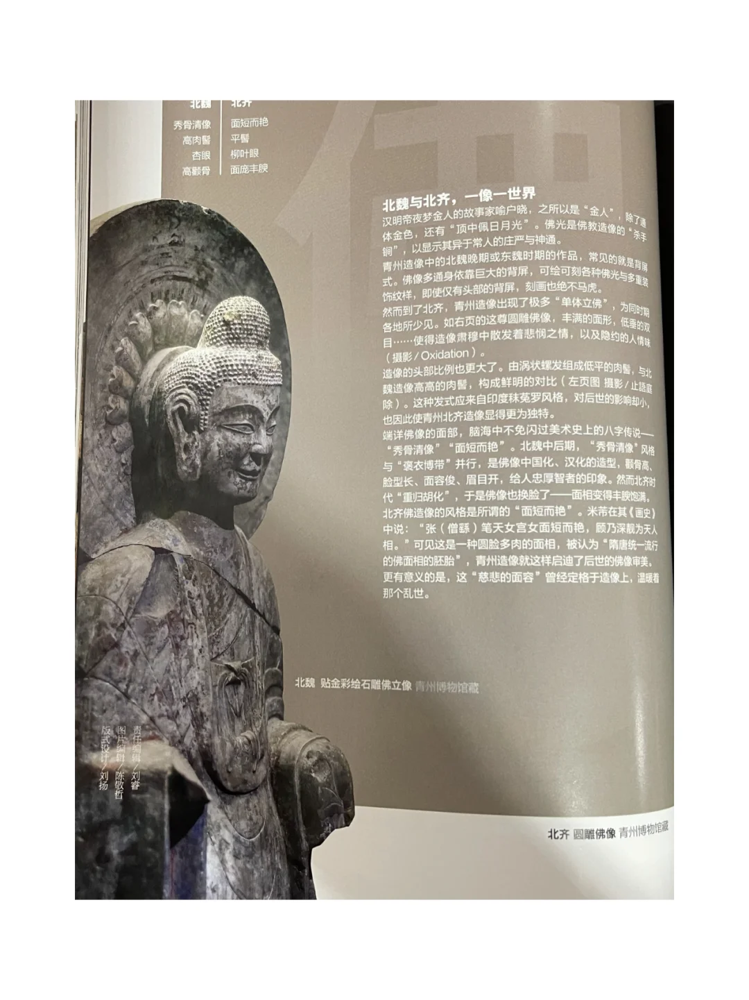 美的统治(美的统治男主离婚原因)