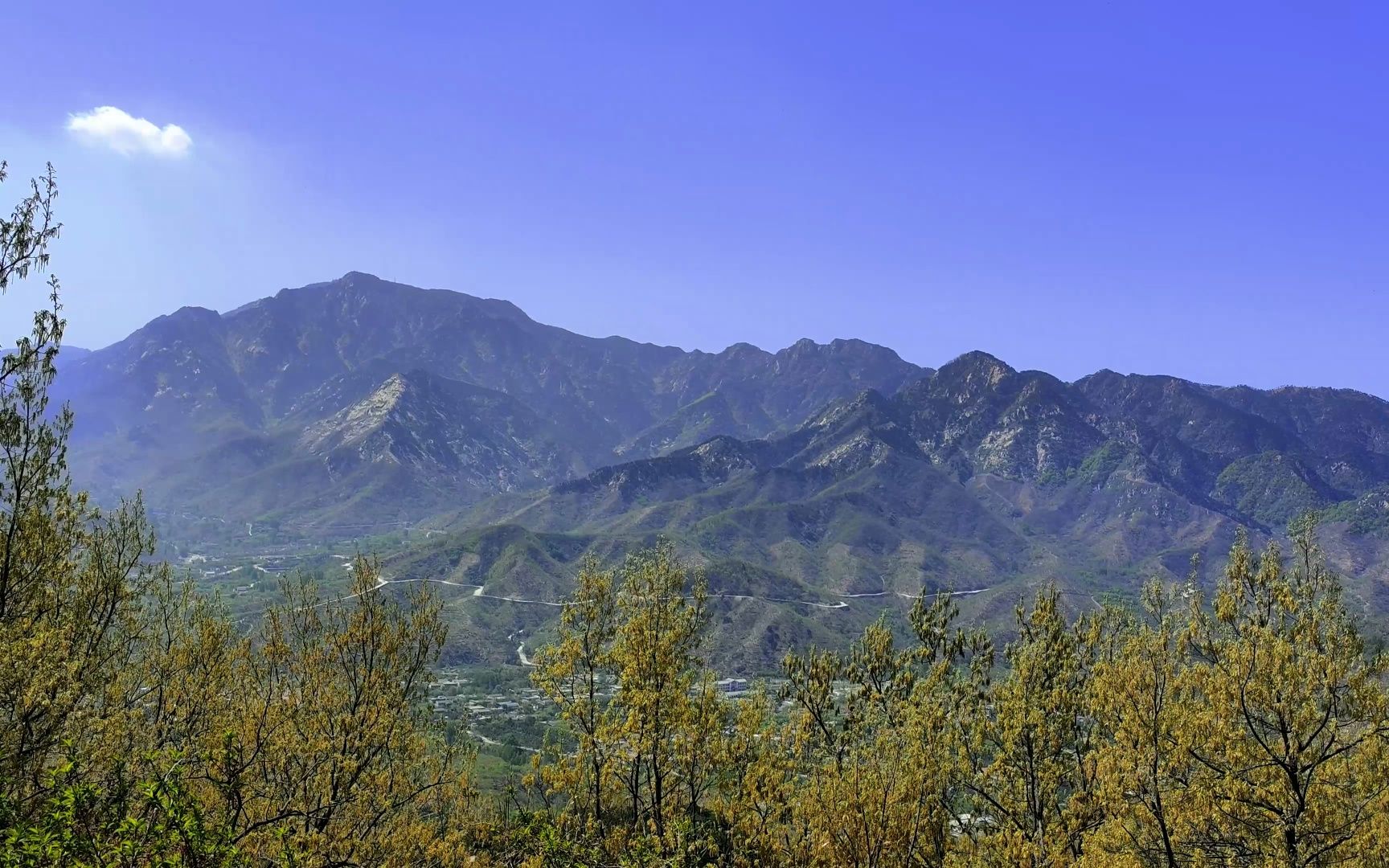 森林泰山(森林泰山和珍)