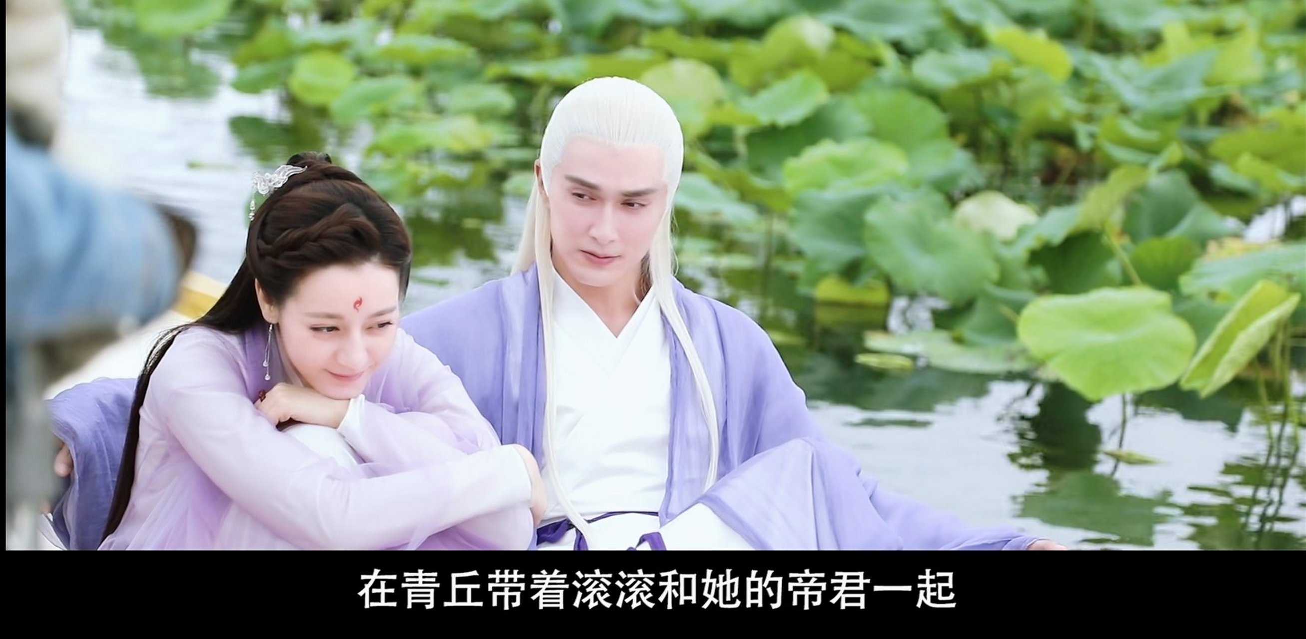 三生三世枕上免费观看(三生三世枕上电视剧在线观看西瓜)