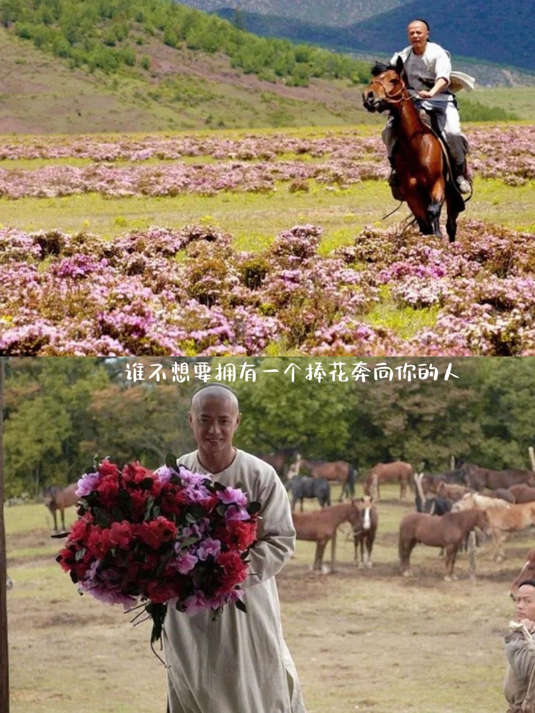 爱有来生电影(爱有来生电影解说)