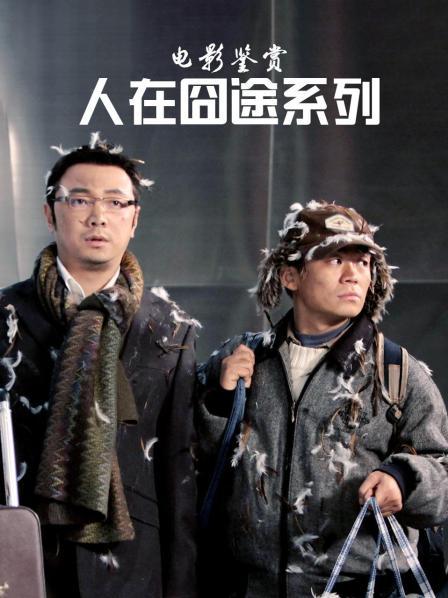 人在囧途电影(人在囧途电影解说)
