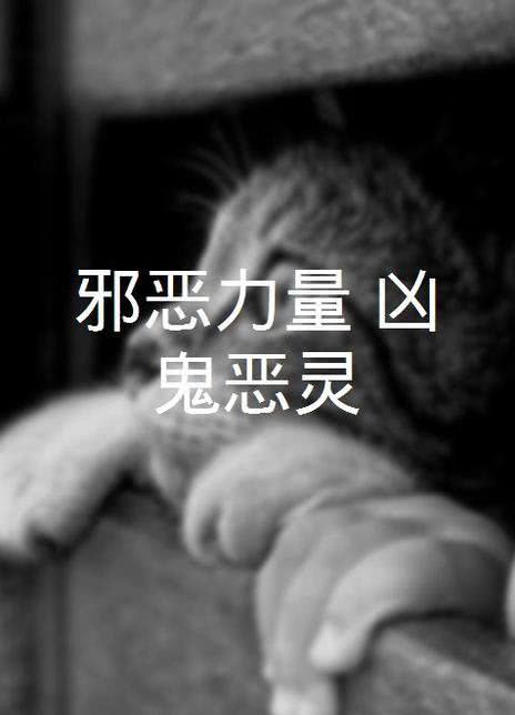凶鬼恶灵第一季(凶鬼恶灵第一季在线观看完整版)