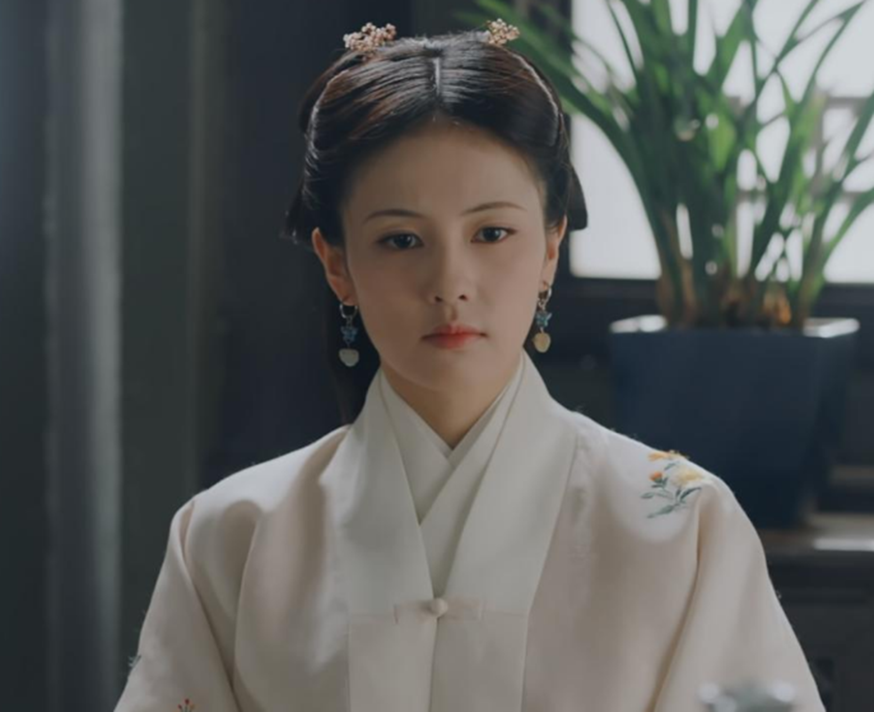玉楼春电视剧全集免费(玉楼春,电视剧免费观看)