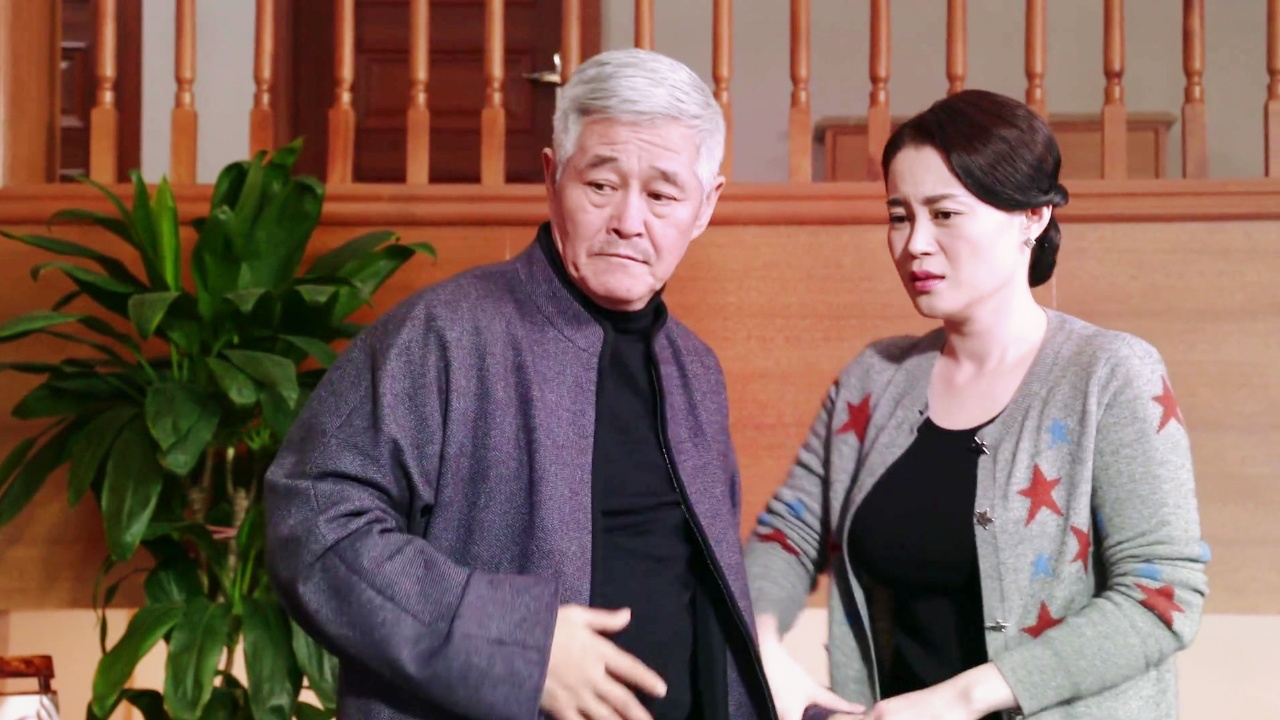 乡村爱情5全集播放(乡村爱情5央视网30集)