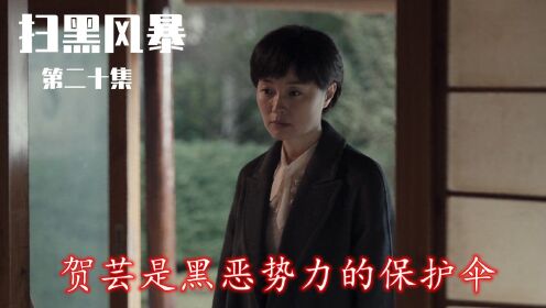 扫黑风暴23集免费观看(扫黑风暴23集免费观看下载)